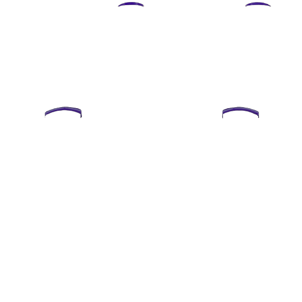P SF L1R1