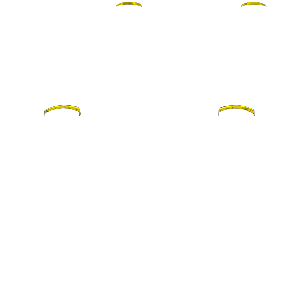 P SF L1R1
