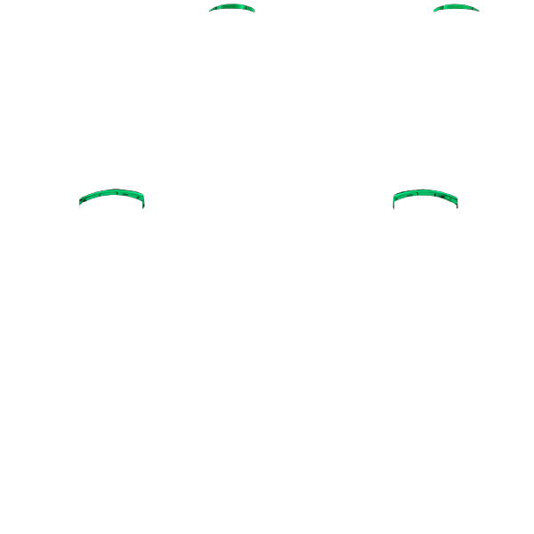 P SF L1R1