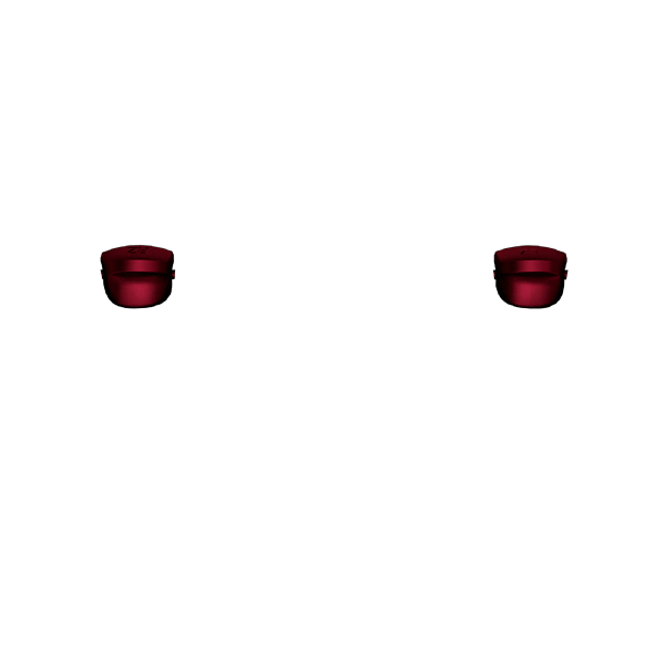 P SF L2R2