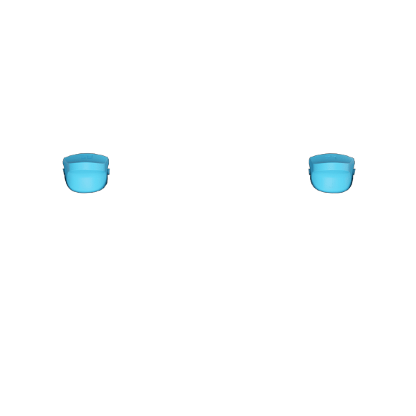 P SF L2R2