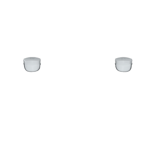 P SF L2R2