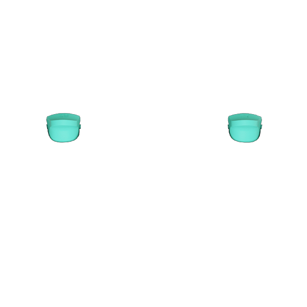 P SF L2R2