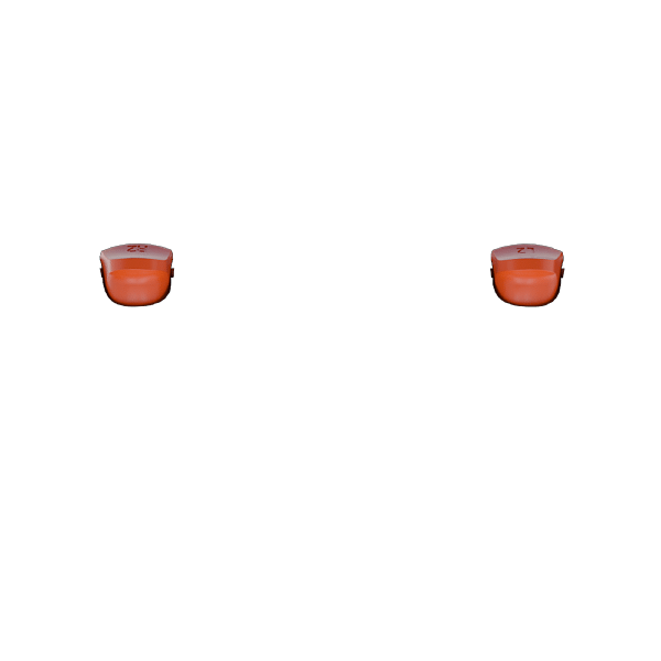 P SF L2R2