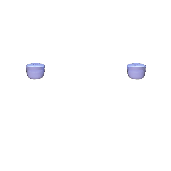 P SF L2R2