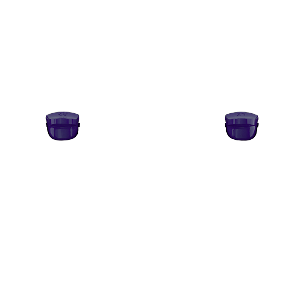 P SF L2R2