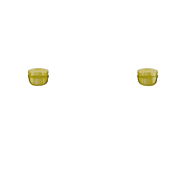 P SF L2R2