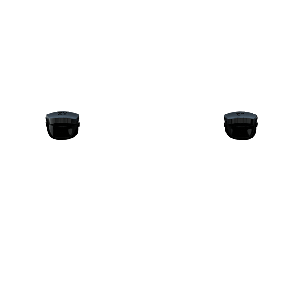 P SF L2R2