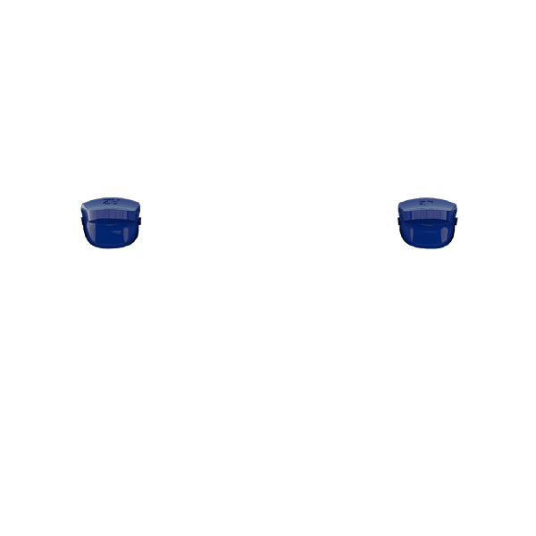 P SF L2R2