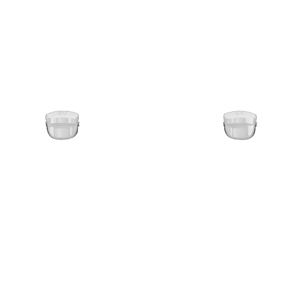 P SF L2R2