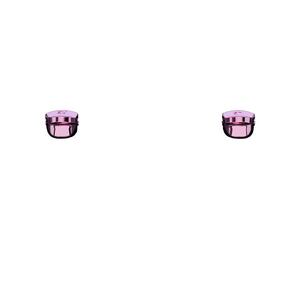 P SF L2R2