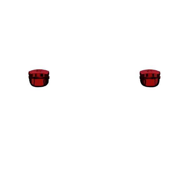 P SF L2R2
