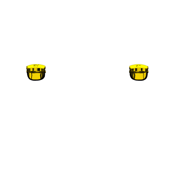 P SF L2R2