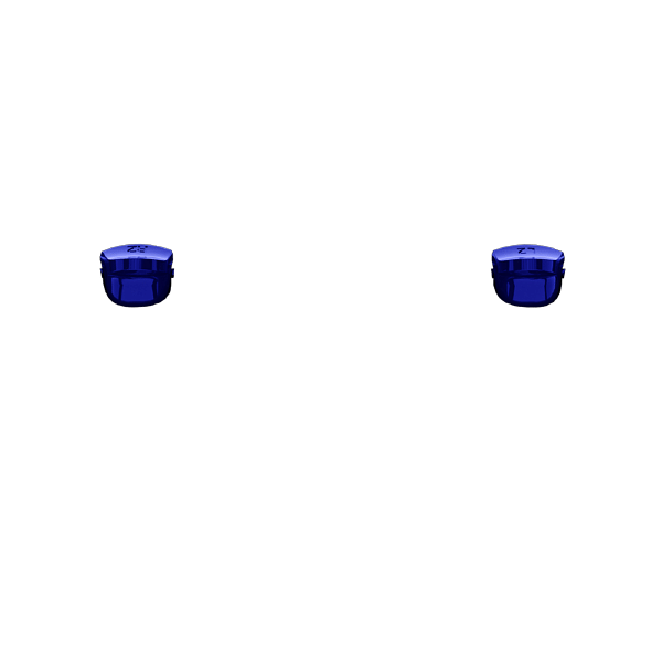 P SF L2R2