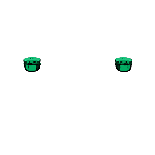 P SF L2R2