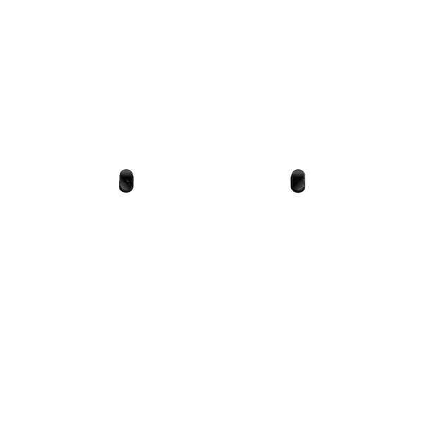 P SF Share Option