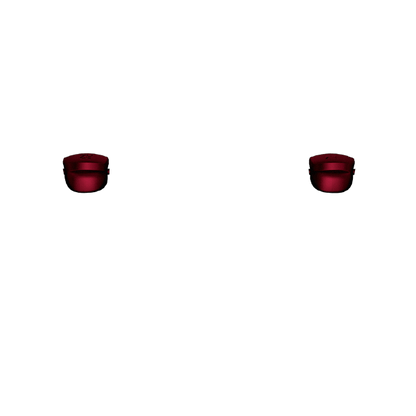 P SF L2R2
