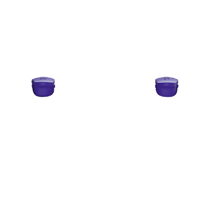 P SF L2R2