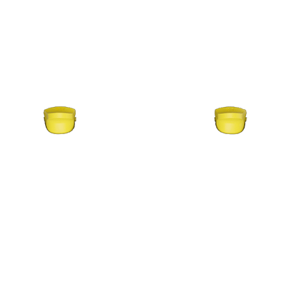 P SF L2R2