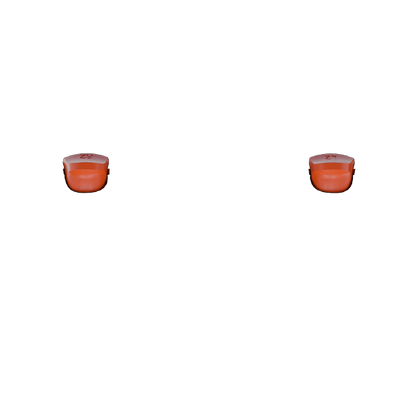 P SF L2R2