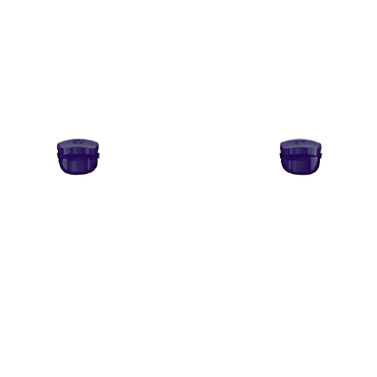 P SF L2R2