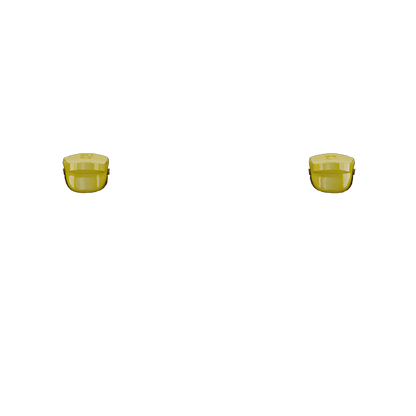 P SF L2R2