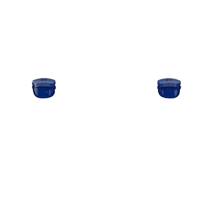 P SF L2R2