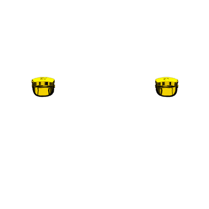 P SF L2R2