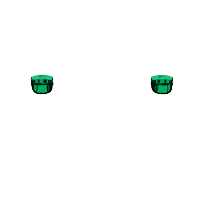 P SF L2R2
