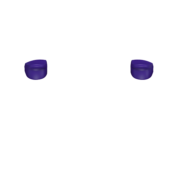 PF L2 R2
