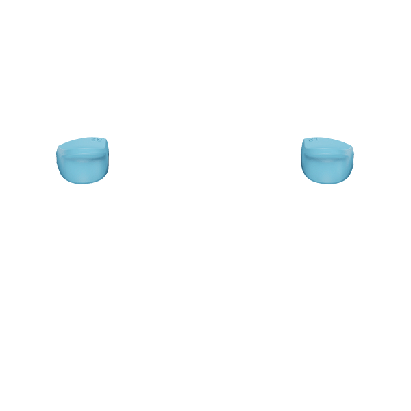 PF L2 R2