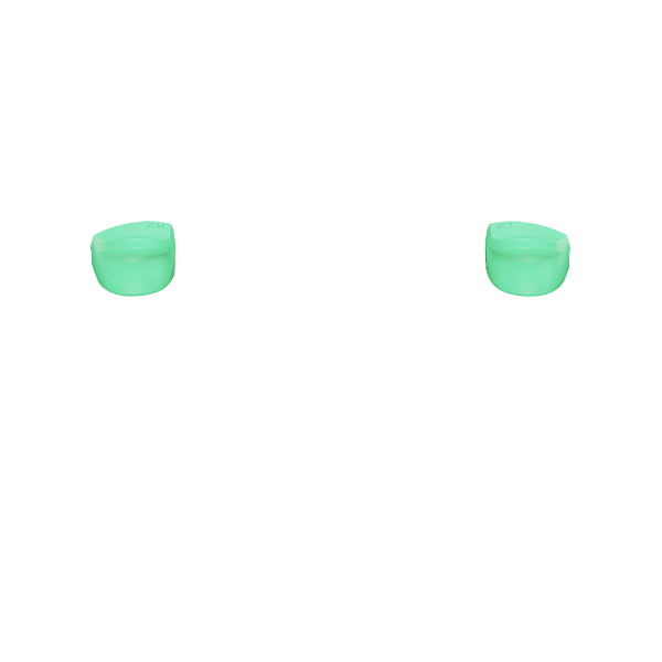 PF L2 R2