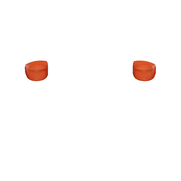 PF L2 R2