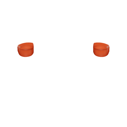PF L2 R2