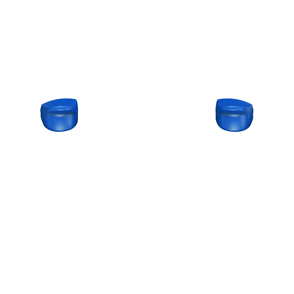 PF L2 R2