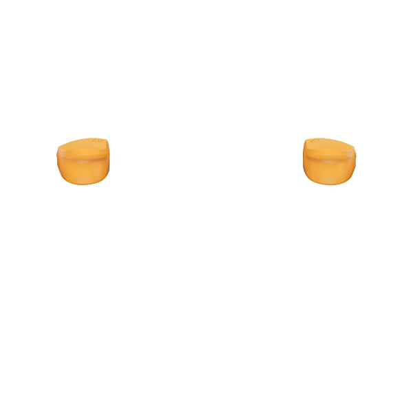 PF L2 R2