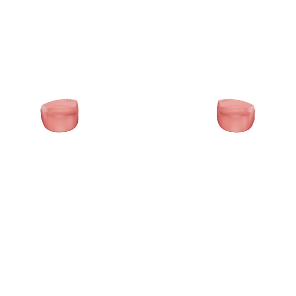 PF L2 R2
