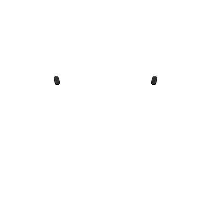 PF Share Opiton
