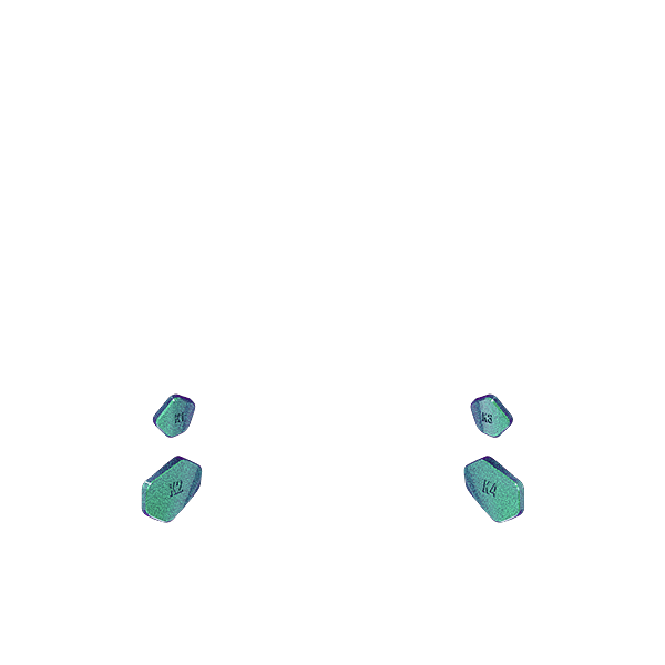 X3 Back Buttons